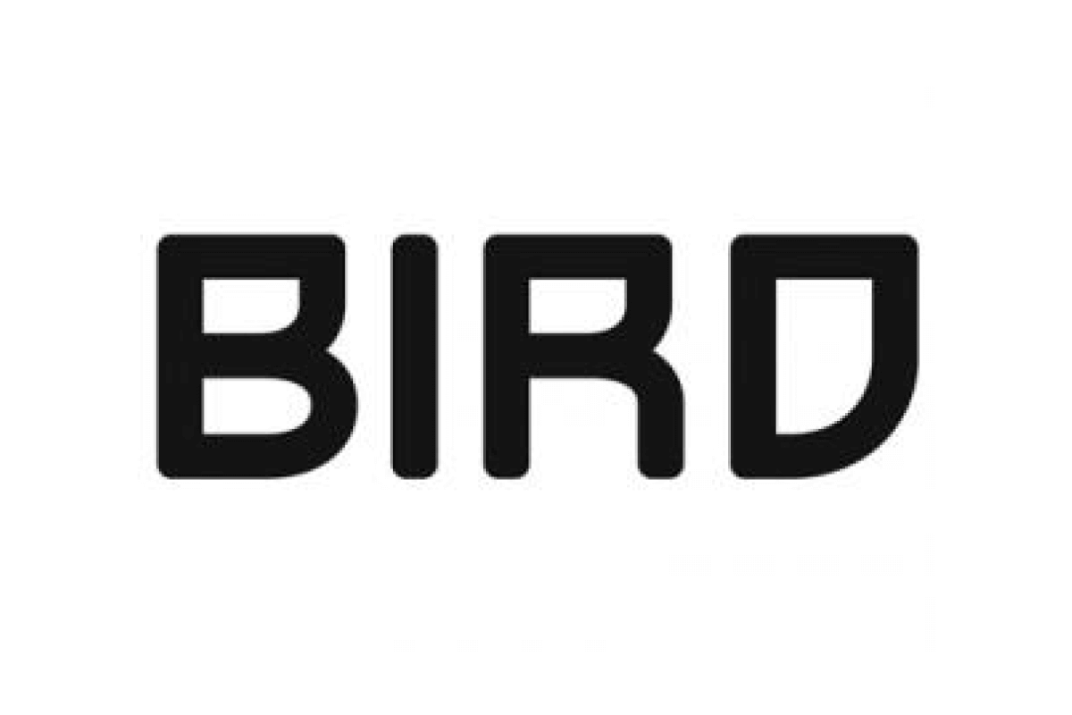 Bird Rotterdam